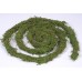 MOSS VINE PRESERVED 5'-6'-